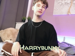 Harrybunny