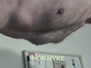 Hornyke