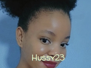 Hussy23