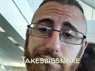 Jakesbigsnake