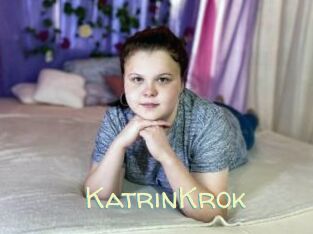 KatrinKrok