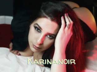 Karinanoir