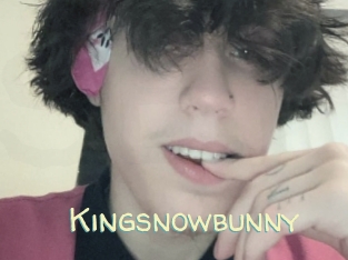 Kingsnowbunny