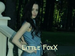 Little_FoxX