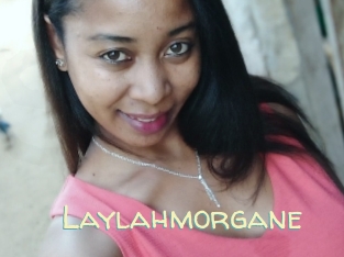 Laylahmorgane