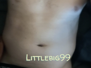 Littlebig99