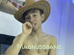 Magnussbane