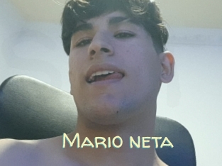 Mario_neta