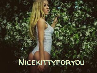 Nicekittyforyou