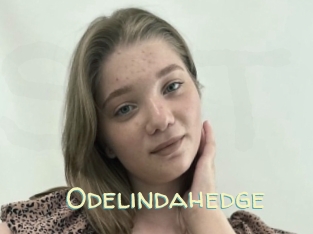 Odelindahedge