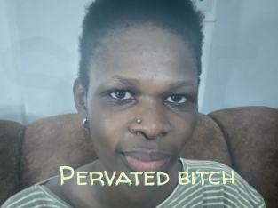 Pervated_bitch