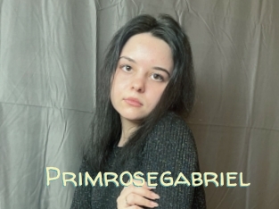 Primrosegabriel