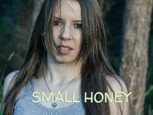 SMALL_HONEY