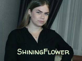 ShiningFlower