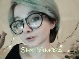 Shy_Mimosa