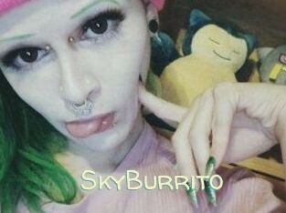 SkyBurrito