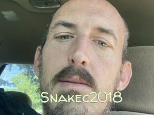 Snakec2018