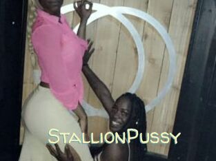 StallionPussy