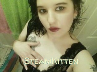 SteamKitten