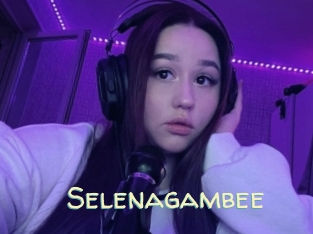 Selenagambee