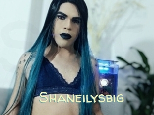 Shaneilysbig