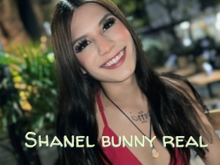 Shanel_bunny_real