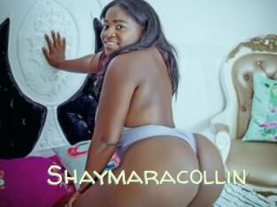 Shaymaracollin