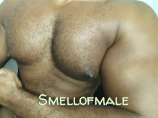 Smellofmale