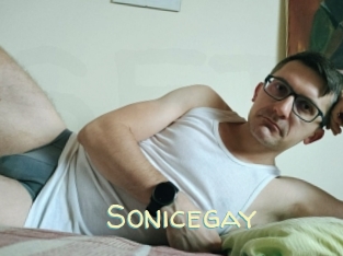 Sonicegay