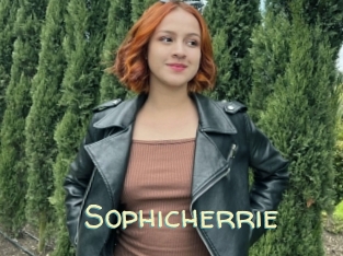 Sophicherrie