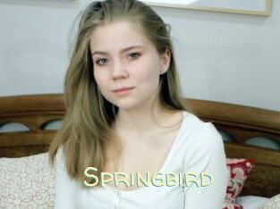 Springbird