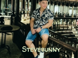 Stevebunny