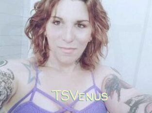 TS_Venus