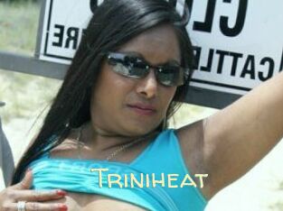 Triniheat