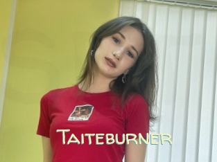 Taiteburner