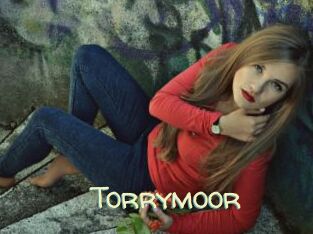 Torrymoor