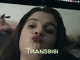 Transbibi