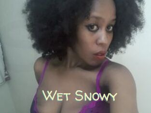 Wet_Snowy