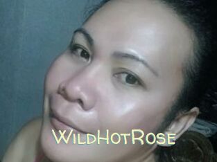 WildHotRose