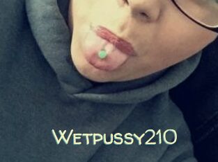 Wetpussy210