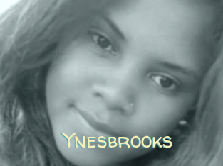 Ynesbrooks