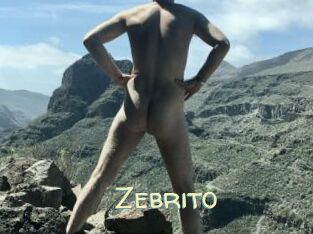 Zebrito