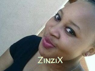 ZinziX